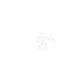 arcturusphoenixnetwork.pages.dev favicon